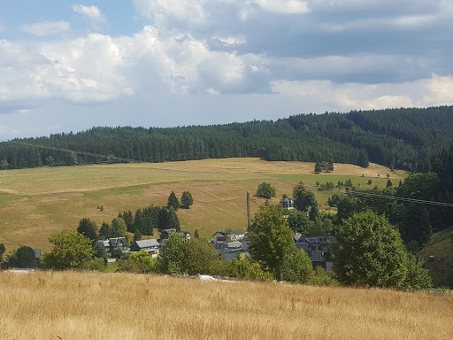 Thüringer Forstrevier Piesau - Visual