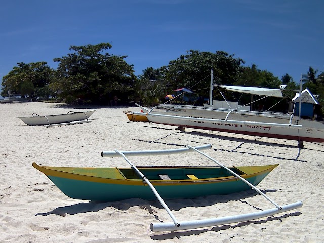 Pamilacan Island Whale and Dolphin Watching Tours