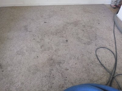 Actually Clean Carpets