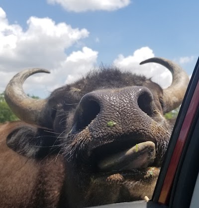 Wild Country Safari Park