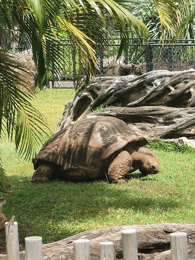 Honolulu Zoo