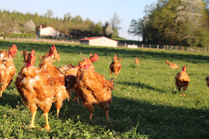 Photo n°2 de Rôtissoire 