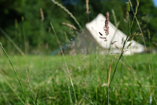 Hay Field Hideout - Thumbnail