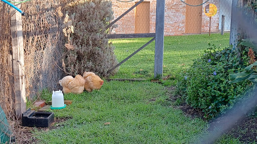 The Briars Farm trail
