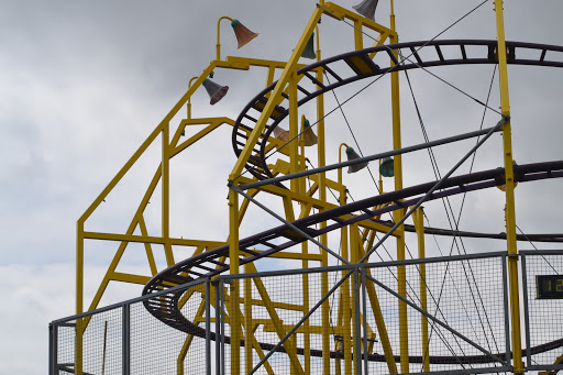 Queen Bee Coaster - Visual