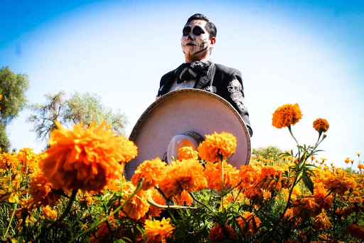 Mariachi Tradicional Hnos Meza