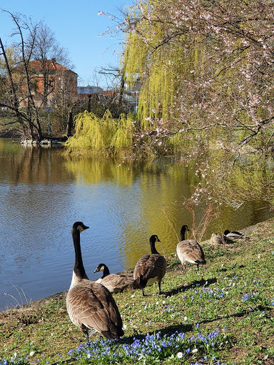 Ostpark - Thumbnail