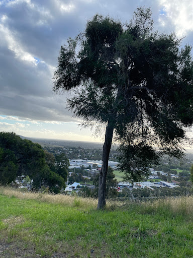 Ferntree Gully Quarry Reserve Lookout - Thumbnail