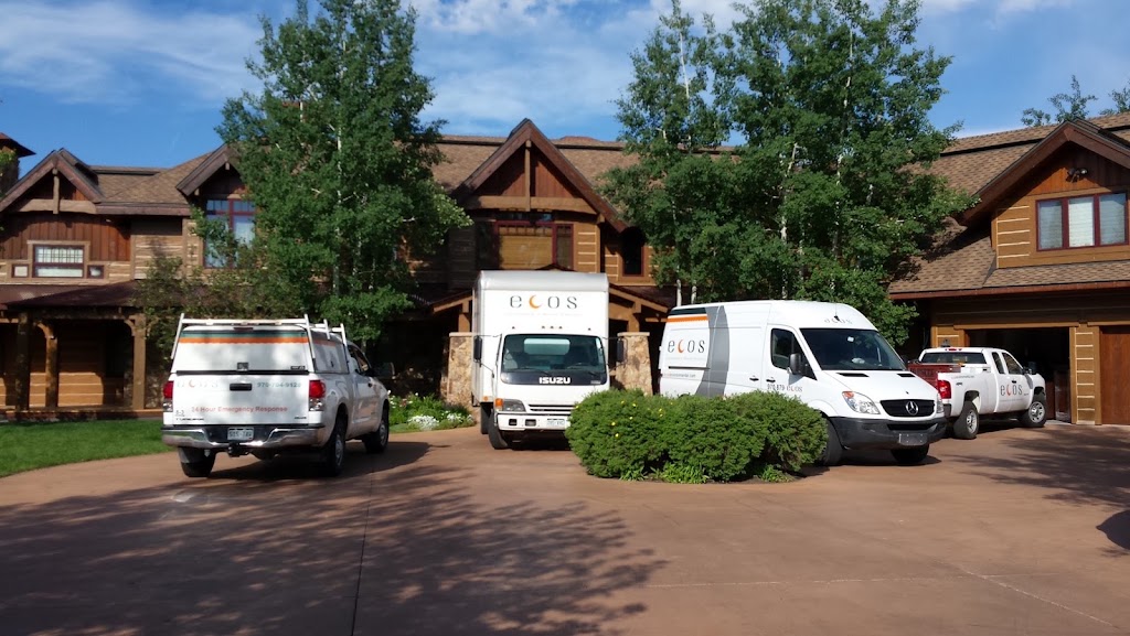ECOS Environmental & Disaster Restoration, Inc. photo