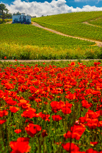 Bodega y Viñedos Heredad Morán & López