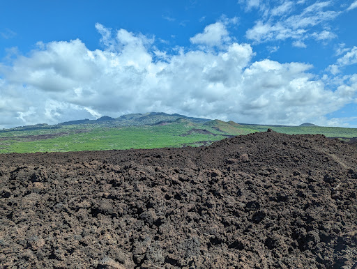 ‘Āhihi-Kīna‘U Natural Area Reserve