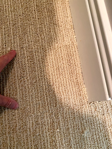 Magic Carpet Pride - Visual