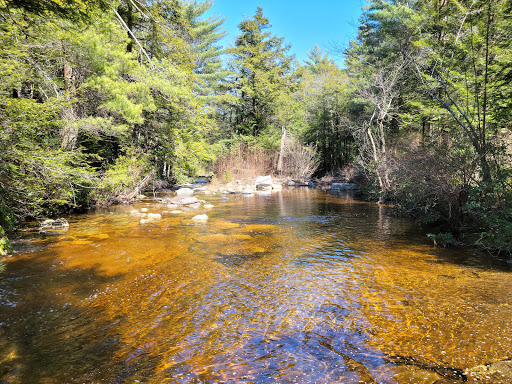 Awosting Falls Gallery - United States