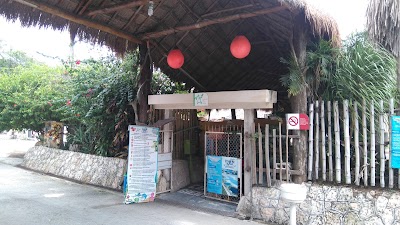 Photos of Restaurant Eco Tur&iacute;stico Cenote Azul