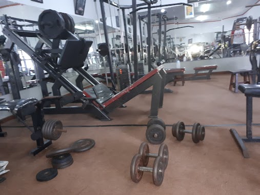 Vidhy Gym, Author: Raida Man