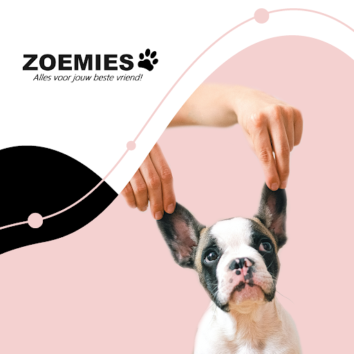 Zoemies.nl Dé online dierenwinkel van Nederland! - Thumbnail