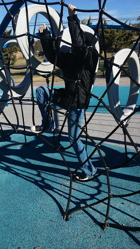 Burns Park - Visual