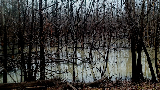 Grimms Park - Visual