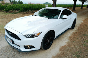 Photo n°5 de Green Cars à Cazouls-lès-Béziers (Concessionnaire de véhicules à moteur)