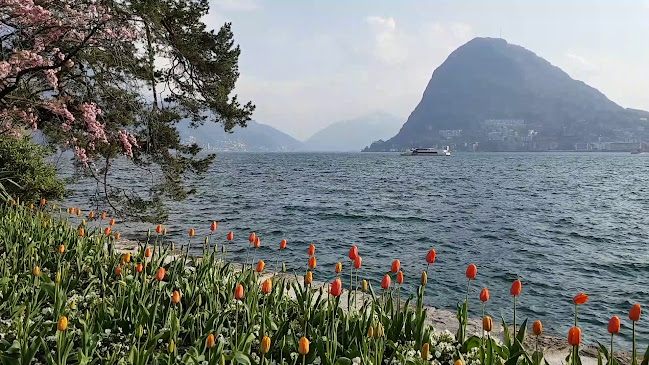 Opinii despre Lugano în Lugano - Glaser