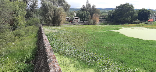 Presa Principal - Thumbnail