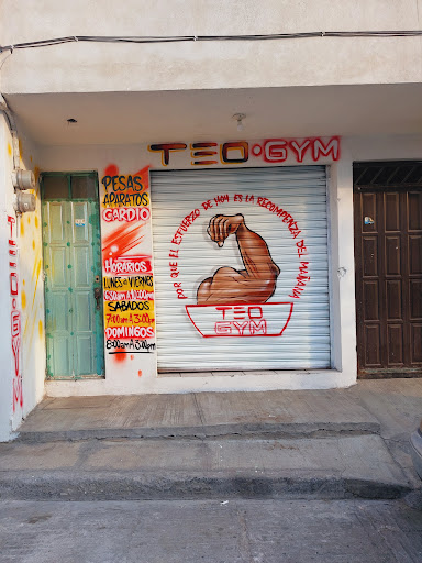 TEO GYM - Thumbnail