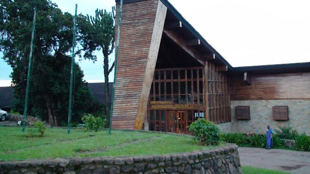 Cratère du Ngorongoro