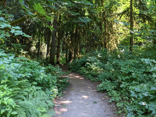 Watershed Park - Visual