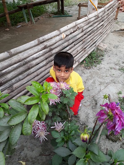 Photos of Flower Mart
