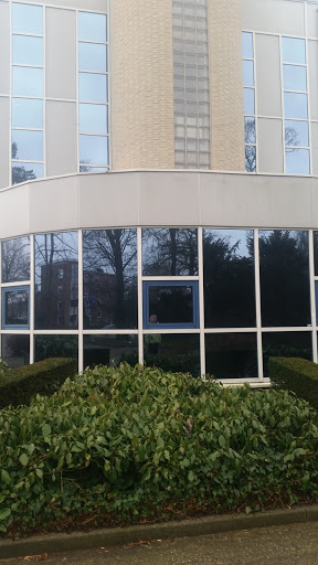 Bonweg - Visual