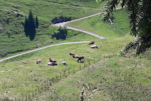 Bergbahnen Beckenried-Emmetten AG, Beckenried, Switzerland