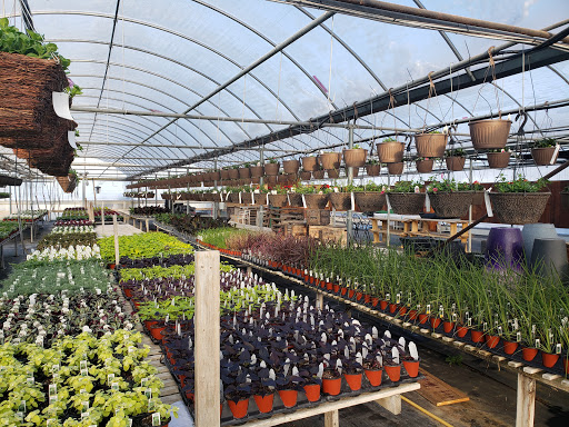 Lucan Country Gardens - Thumbnail