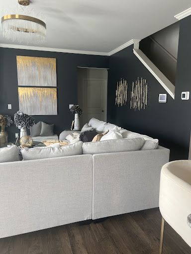 Macassi Painting - Visual