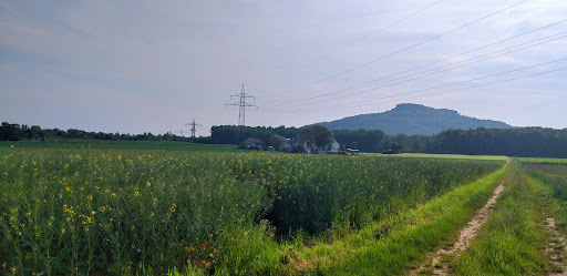 Biergarten Eichelsee - Thumbnail