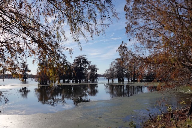 Lake Martin
