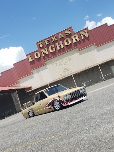 Lucky Longhorn Casino