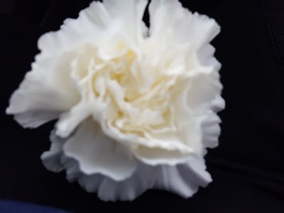 Photos of Sisters Floral & Gifts