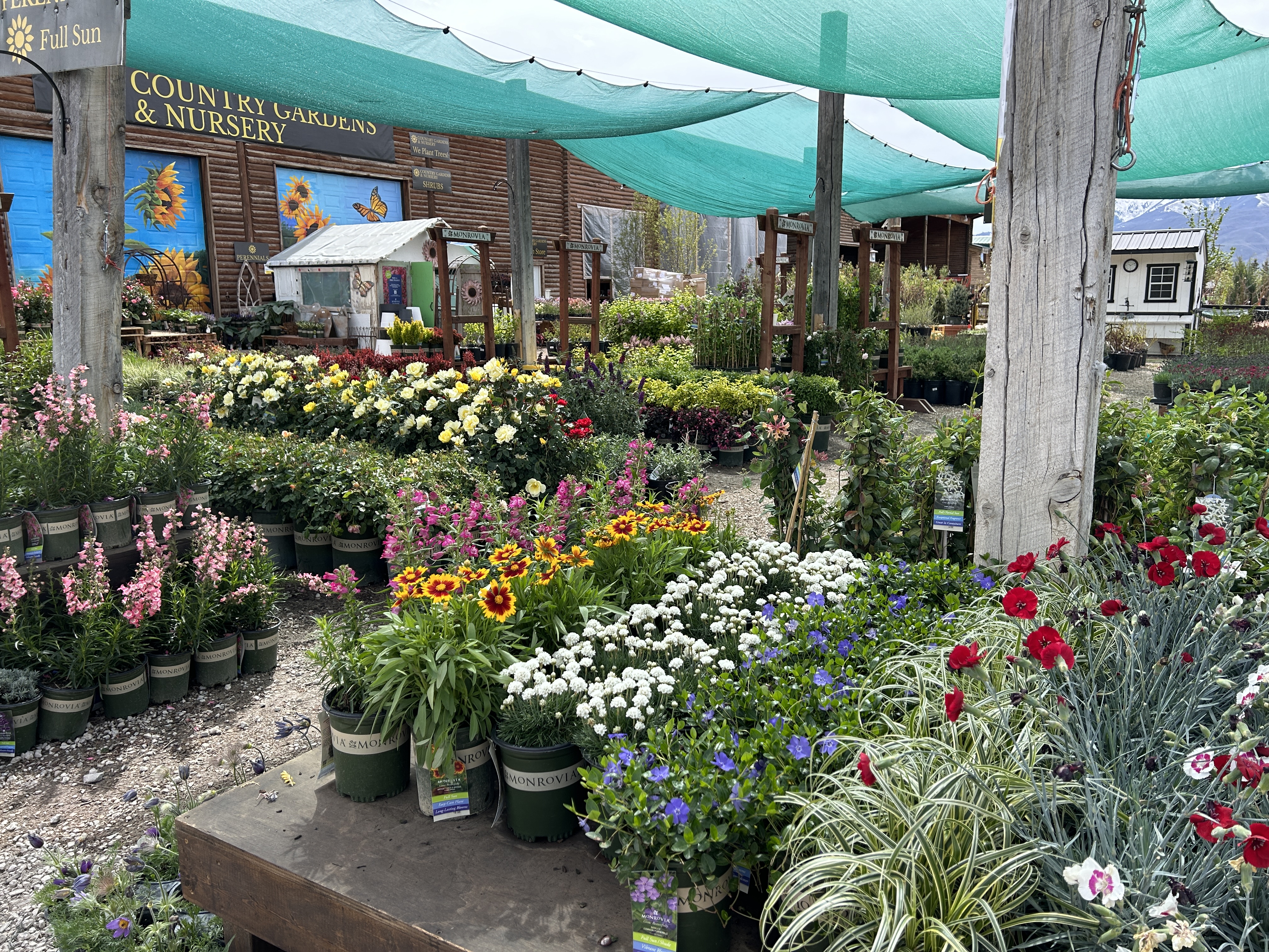 Country Gardens & Nursery