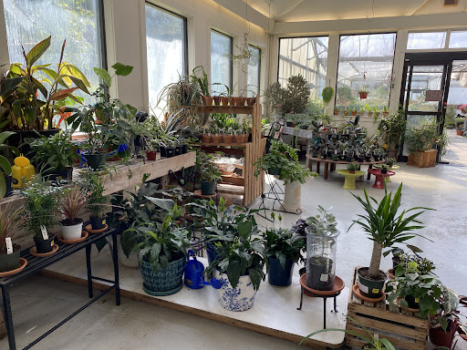 Dutton Greenhouse & Nursery