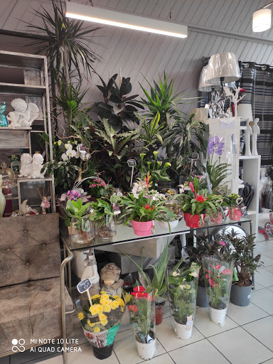 FLEURS ET CREATIONS - 33710 - Thumbnail