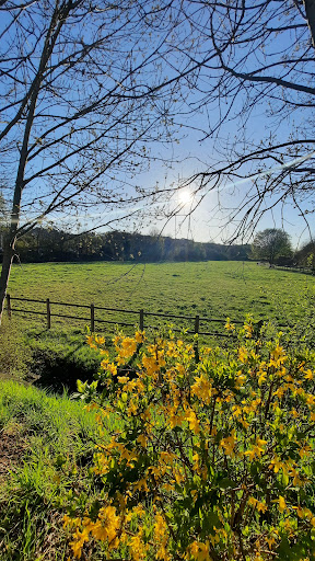 Les Bords de l'Yerres - Thumbnail