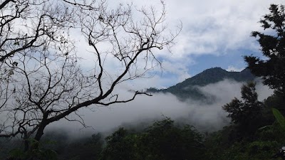 Photos of Gunung Gajah