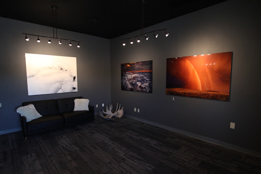 Racehorse Gallery - Thumbnail