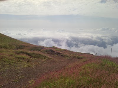 Photos of Mount Nimba Strict Nature Reserve