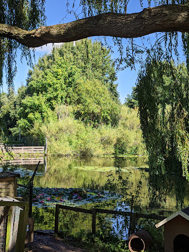 Stichting Philadelphia Zorg | Kinderboerderij Wassenaar - Thumbnail