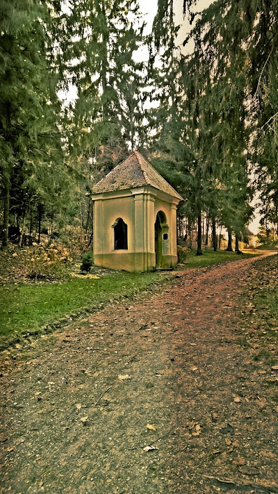 Photos of Vilniaus (Kalvarijos) Sv. Kryziaus Atradimo parapija, baznycia