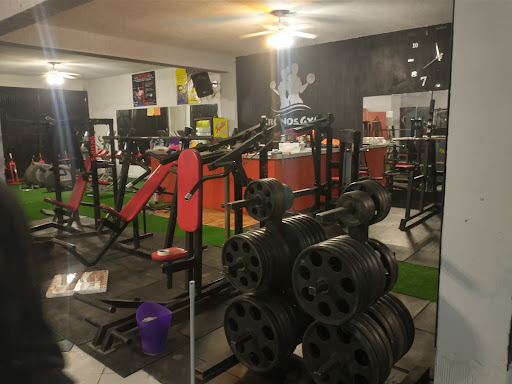 CRONOS GYM - Visual