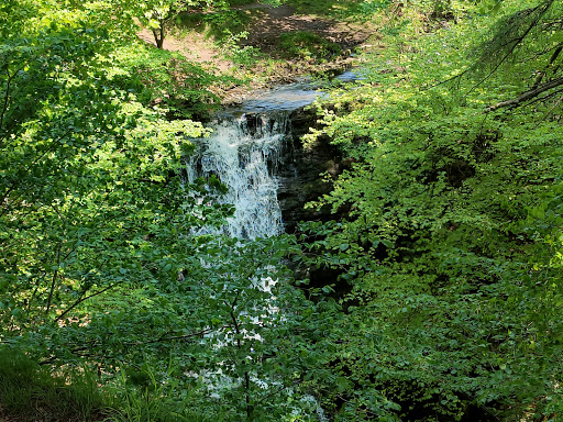 Scaleber Force Waterfall - Visual