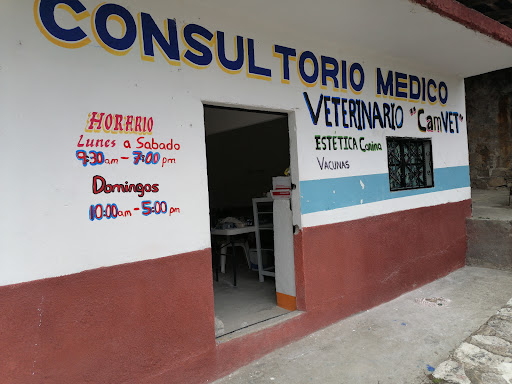 Consultorio Veterinario "Cam VET"