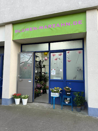 Blumen Marzahn - Visual
